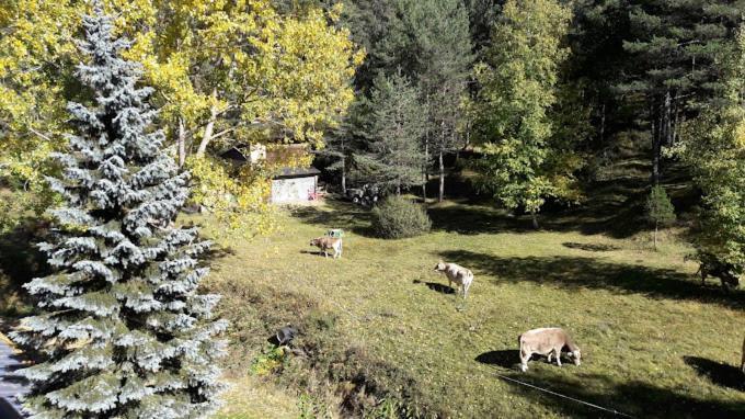Rblamolina Hotel Alp Bagian luar foto